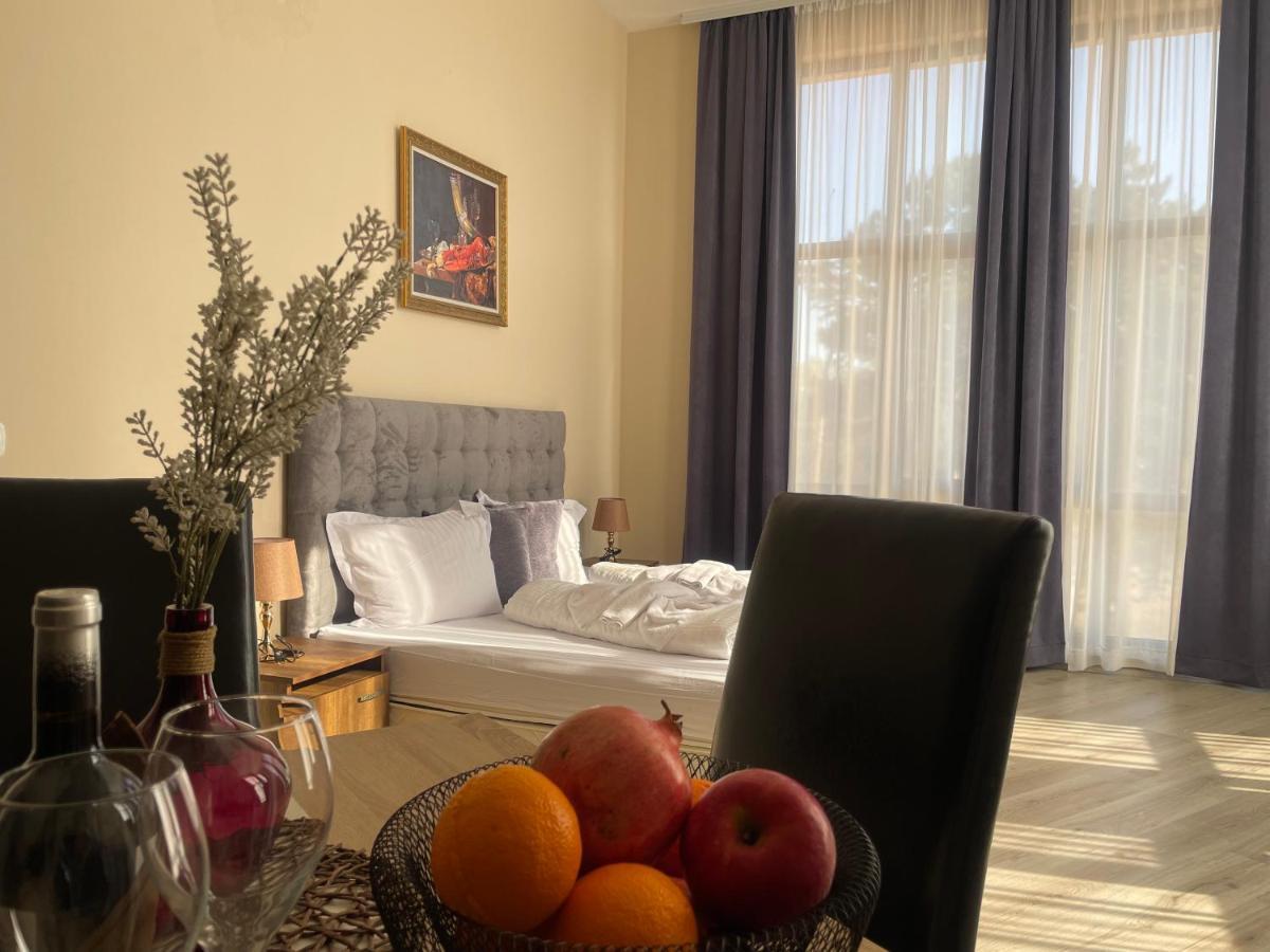 Hotel Ostrova 普罗夫迪夫 外观 照片